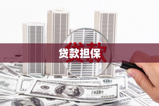 新平贷款担保