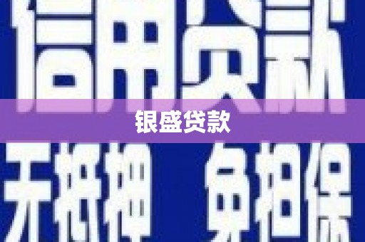 新平银盛贷款