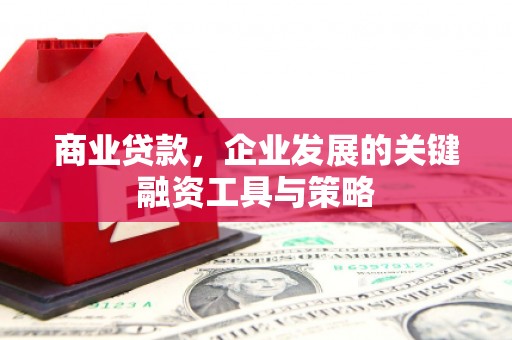 新平商业贷款，企业发展的关键融资工具与策略