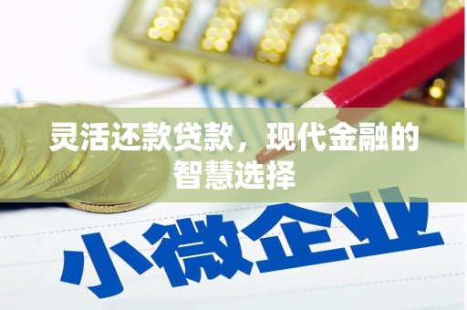新平灵活还款贷款，现代金融的智慧选择