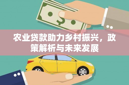 新平农业贷款助力乡村振兴，政策解析与未来发展