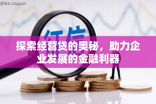 新平探索经营贷的奥秘，助力企业发展的金融利器