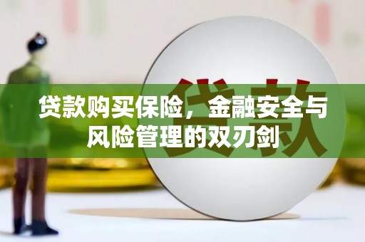新平贷款购买保险，金融安全与风险管理的双刃剑