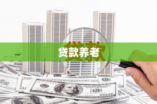 新平贷款养老
