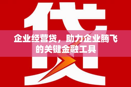 新平企业经营贷，助力企业腾飞的关键金融工具