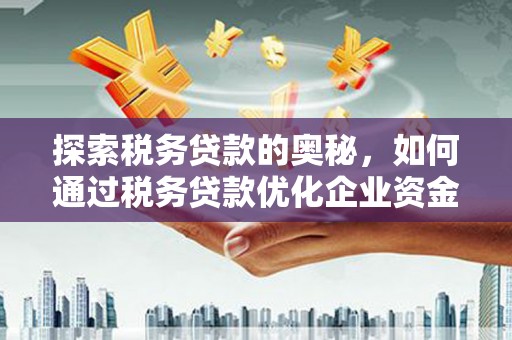 新平探索税务贷款的奥秘，如何通过税务贷款优化企业资金流