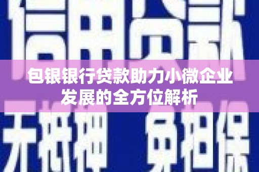 新平包银银行贷款助力小微企业发展的全方位解析