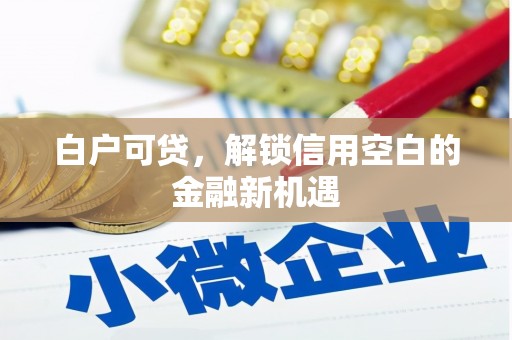 新平白户可贷，解锁信用空白的金融新机遇