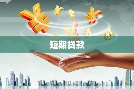 新平短期贷款