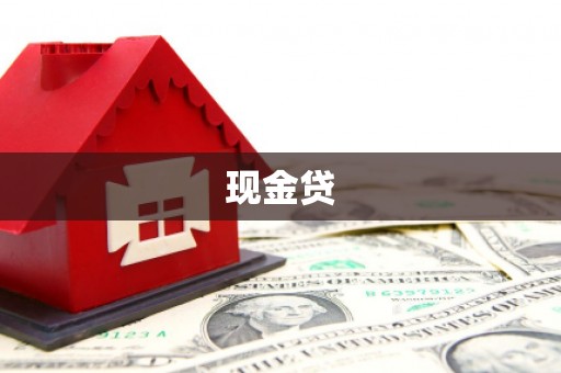 新平现金贷