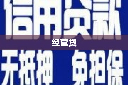新平经营贷