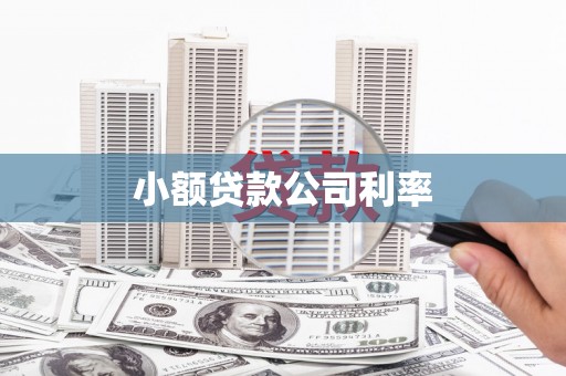 新平小额贷款公司利率