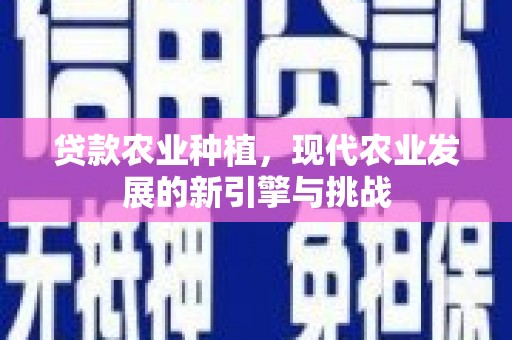 新平贷款农业种植，现代农业发展的新引擎与挑战
