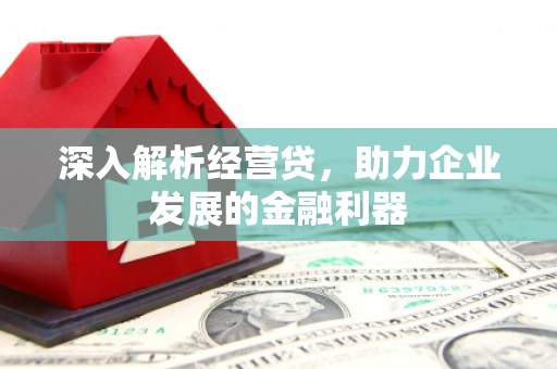 新平深入解析经营贷，助力企业发展的金融利器