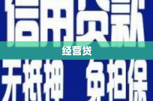 新平经营贷