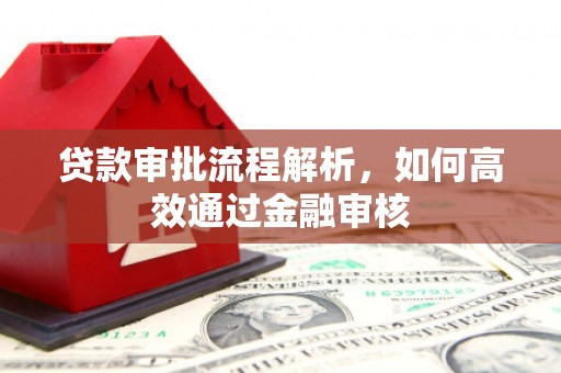 新平贷款审批流程解析，如何高效通过金融审核