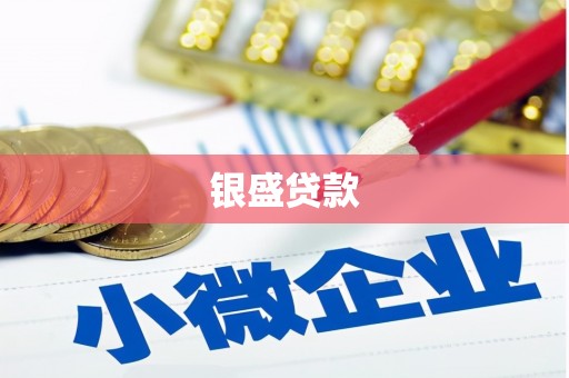 新平银盛贷款
