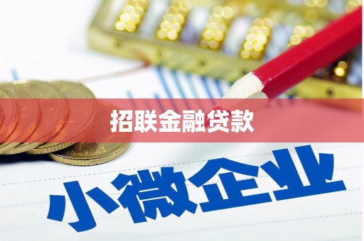 新平招联金融贷款