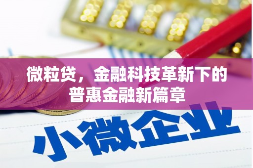 新平微粒贷，金融科技革新下的普惠金融新篇章