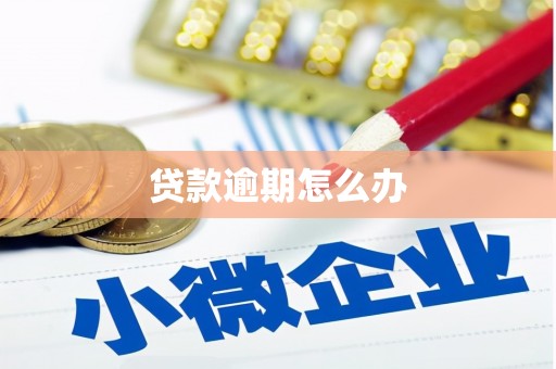 新平贷款逾期怎么办
