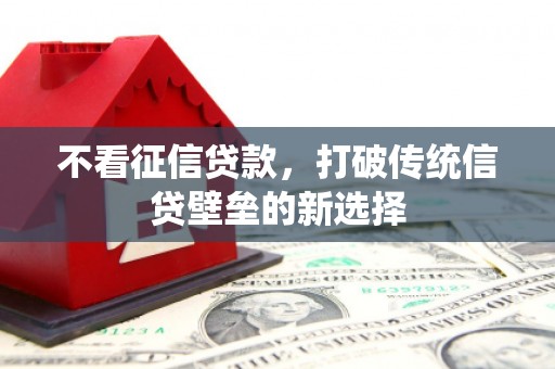 新平不看征信贷款，打破传统信贷壁垒的新选择