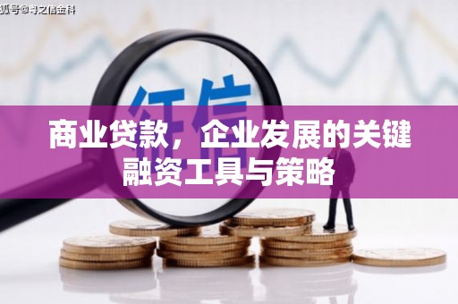 新平商业贷款，企业发展的关键融资工具与策略