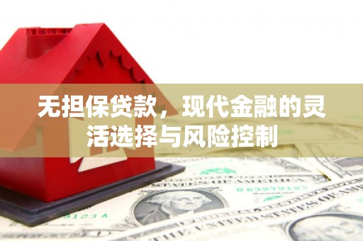 新平无担保贷款，现代金融的灵活选择与风险控制