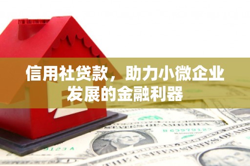 新平信用社贷款，助力小微企业发展的金融利器