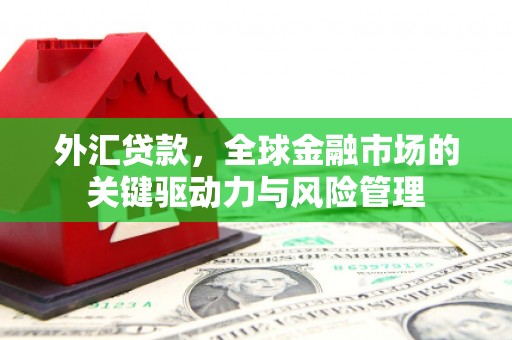 新平外汇贷款，全球金融市场的关键驱动力与风险管理