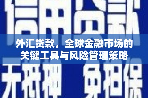 新平外汇贷款，全球金融市场的关键工具与风险管理策略