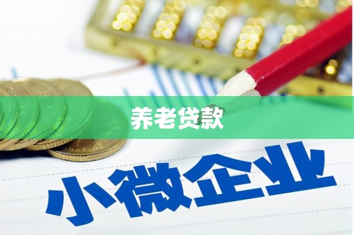 新平养老贷款