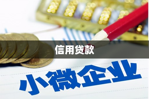 新平信用贷款