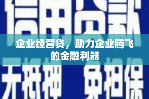 新平企业经营贷，助力企业腾飞的金融利器