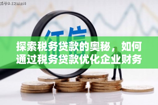 新平探索税务贷款的奥秘，如何通过税务贷款优化企业财务
