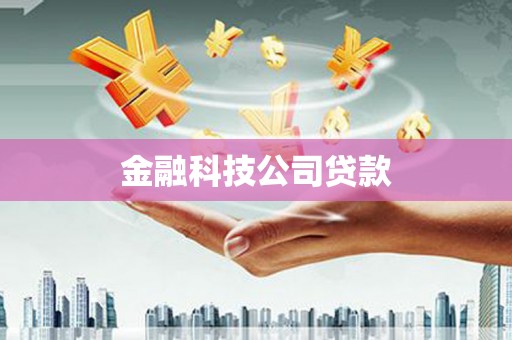 新平金融科技公司贷款