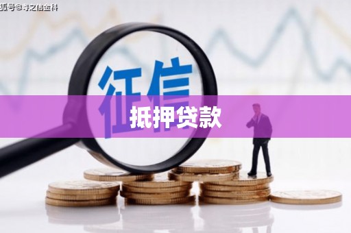 新平抵押贷款