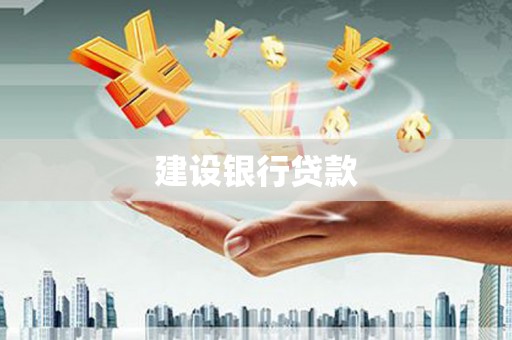 新平建设银行贷款