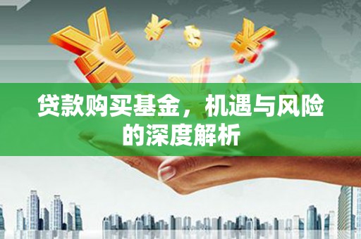 新平贷款购买基金，机遇与风险的深度解析