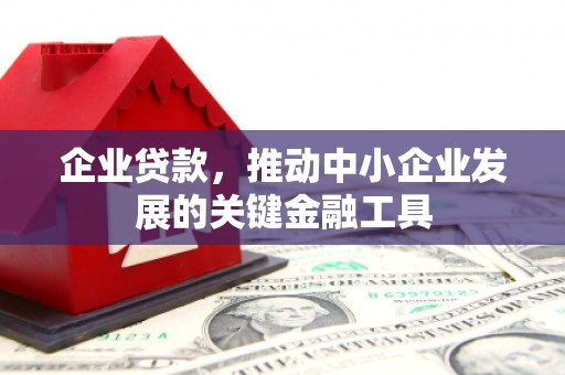 新平企业贷款，推动中小企业发展的关键金融工具