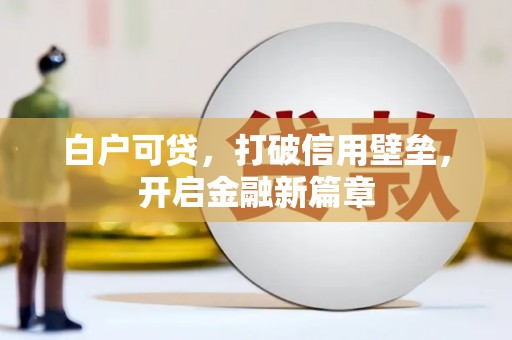 新平白户可贷，打破信用壁垒，开启金融新篇章