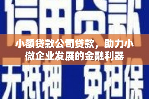 新平小额贷款公司贷款，助力小微企业发展的金融利器