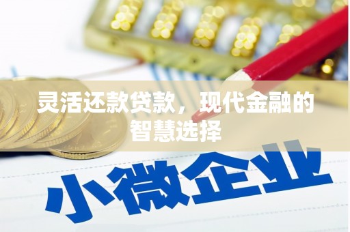 新平灵活还款贷款，现代金融的智慧选择