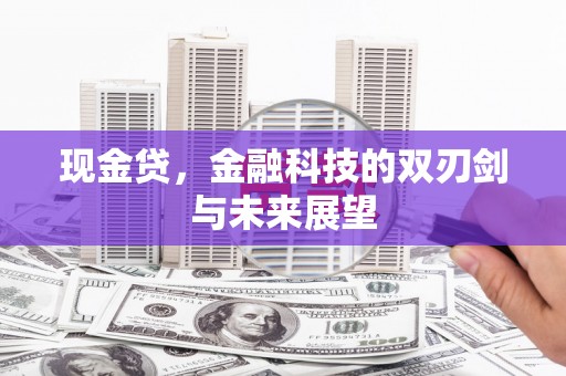 新平现金贷，金融科技的双刃剑与未来展望