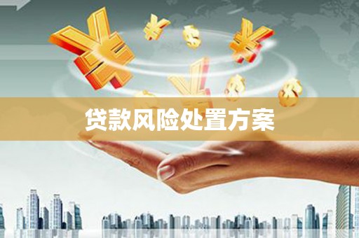 新平贷款风险处置方案