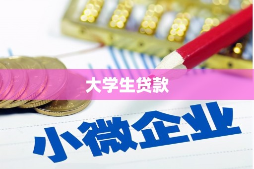 新平大学生贷款