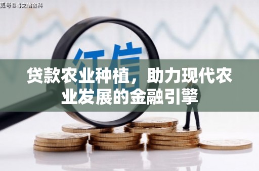 新平贷款农业种植，助力现代农业发展的金融引擎