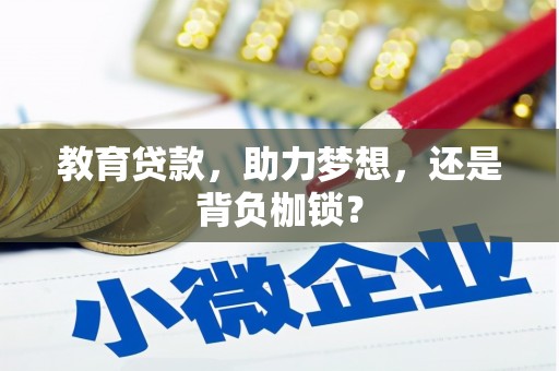 新平教育贷款，助力梦想，还是背负枷锁？
