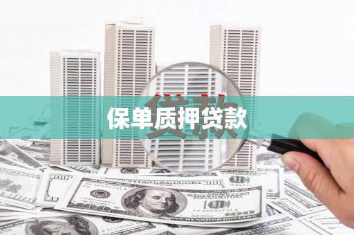 新平保单质押贷款