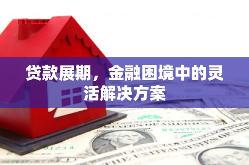 新平贷款展期，金融困境中的灵活解决方案
