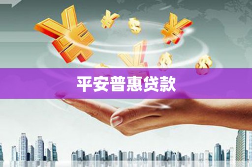 新平平安普惠贷款